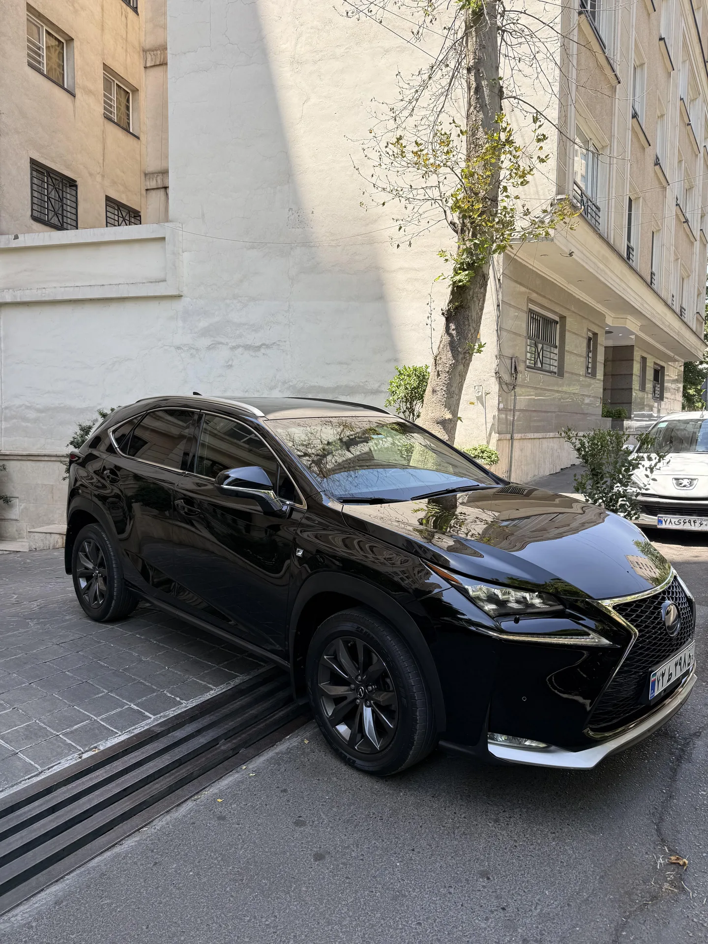 لکسوس  NX