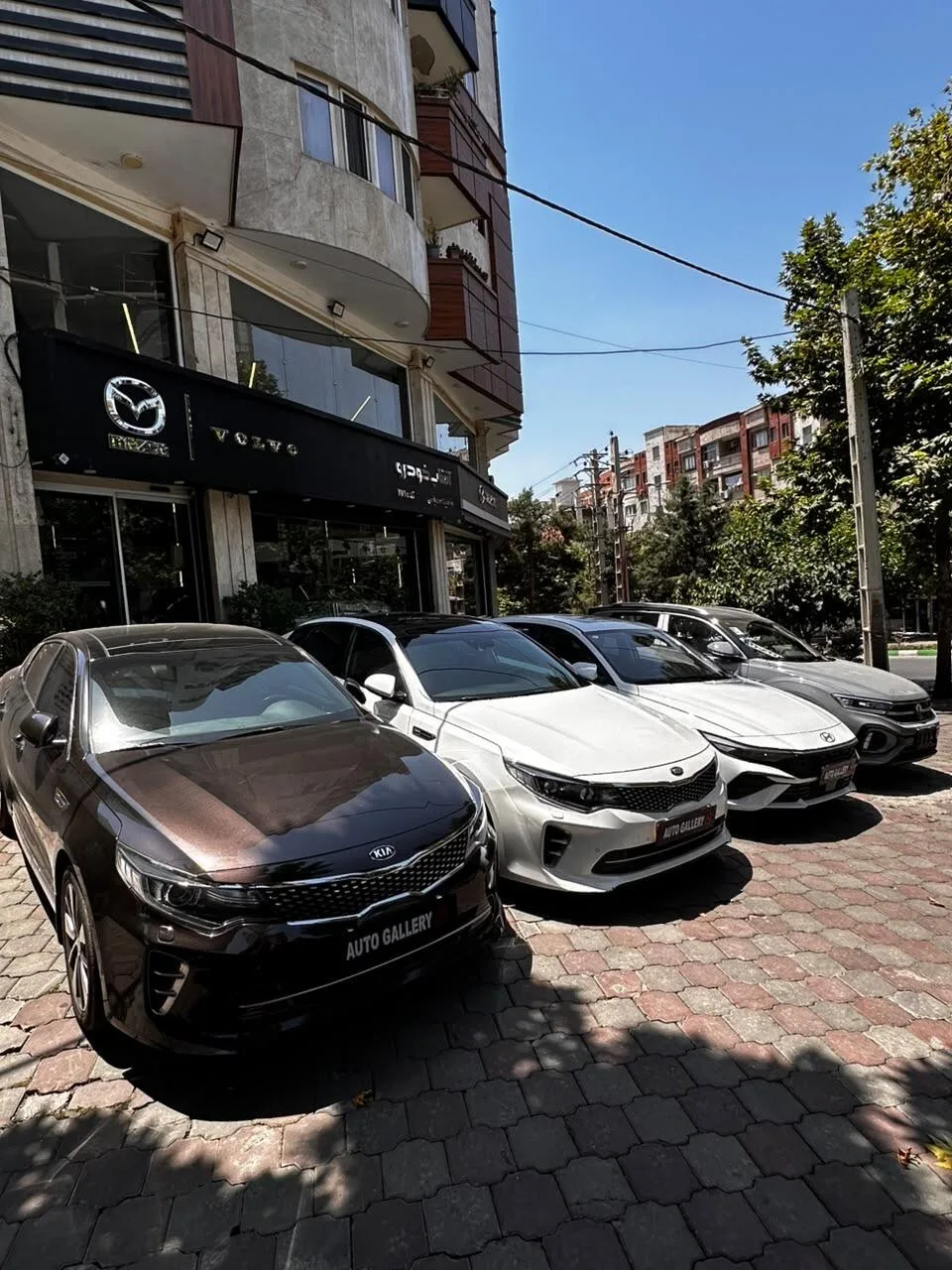 کیا  اپتیما 6