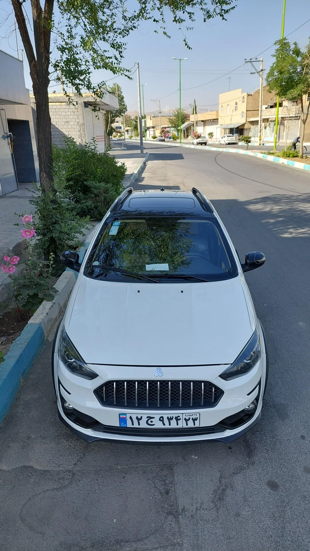 اطلس دنده ای
