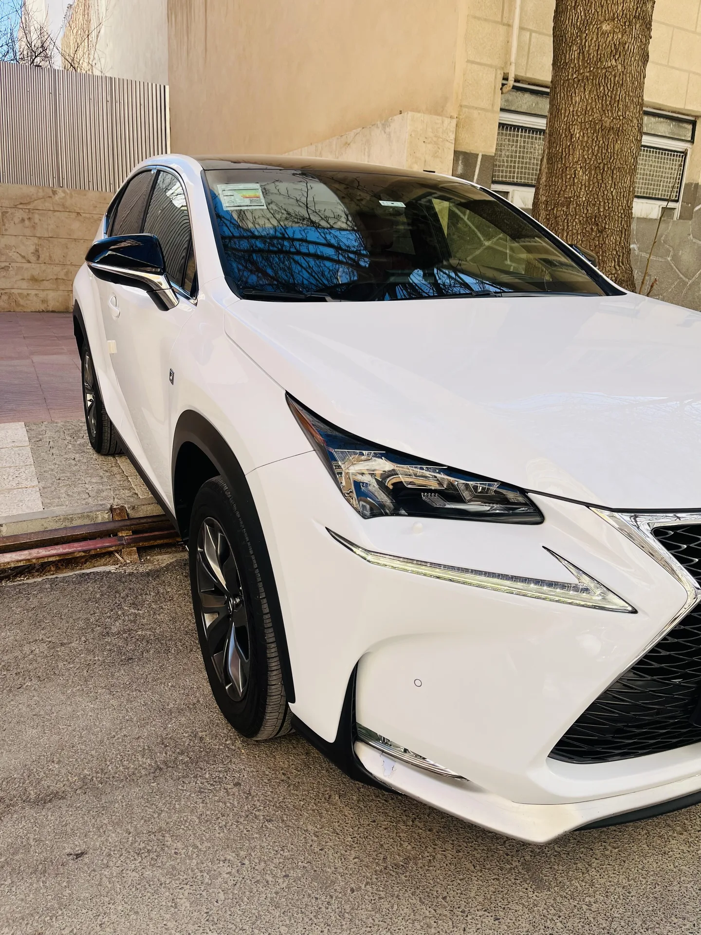 لکسوس  NX