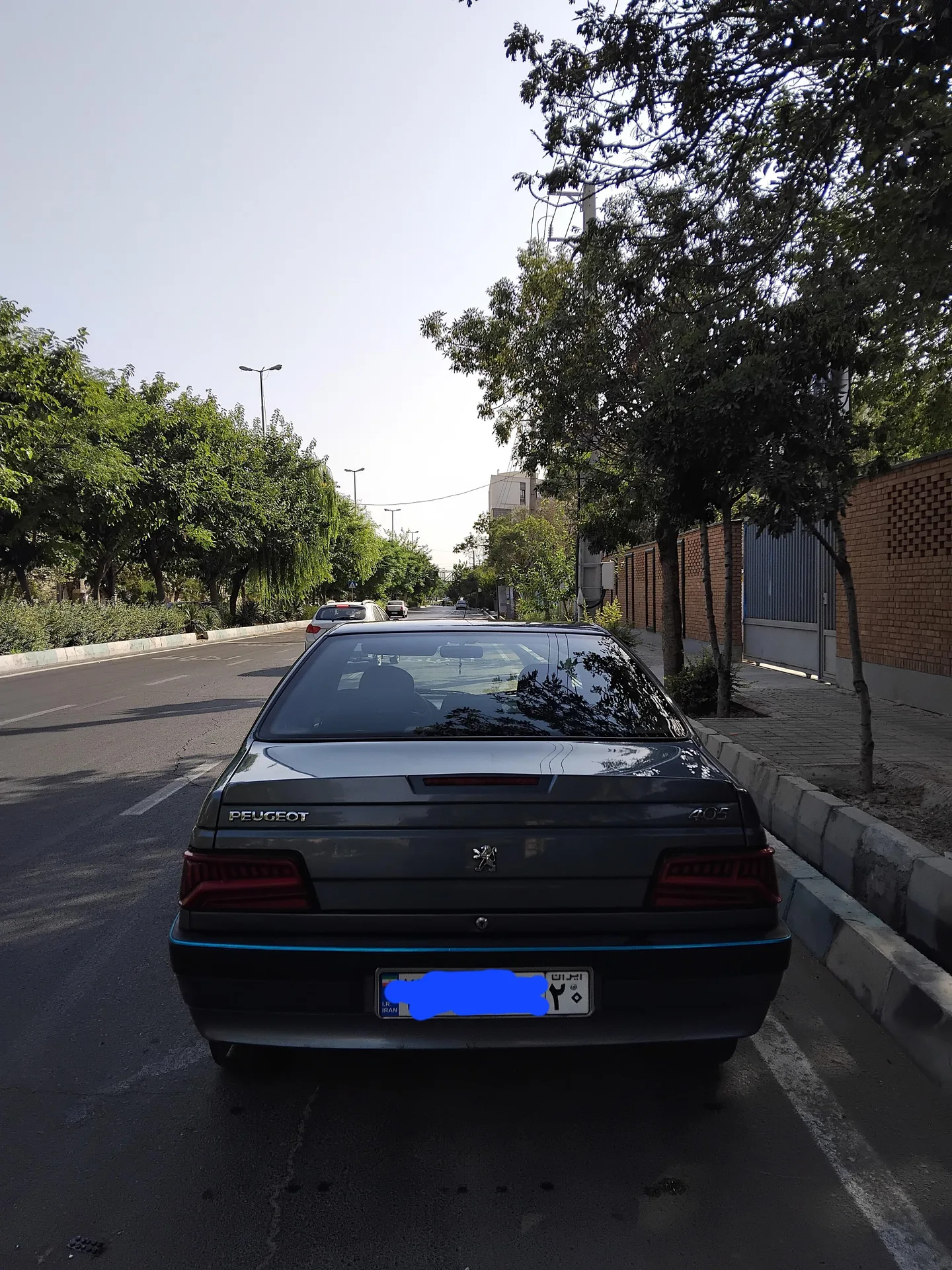 پژو  405