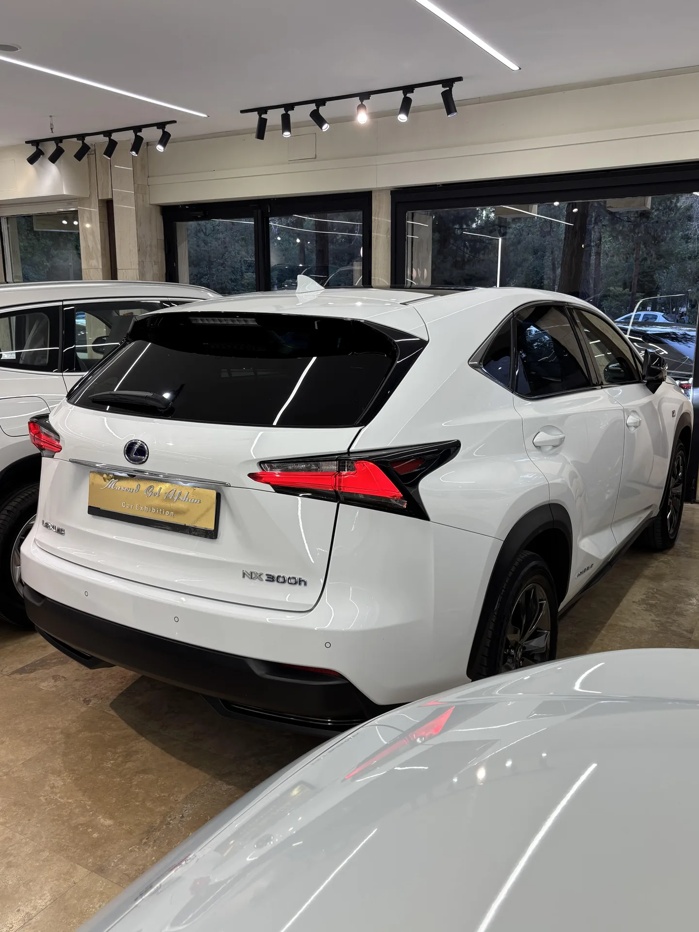 لکسوس  NX هیبرید 6